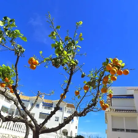 R1320 - Las Fuentes Nerja
